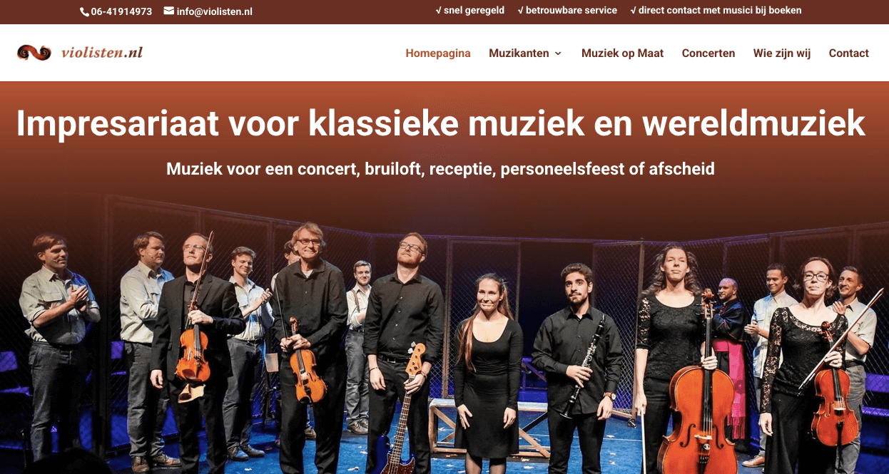 Website gemaakt voor violisten.nl