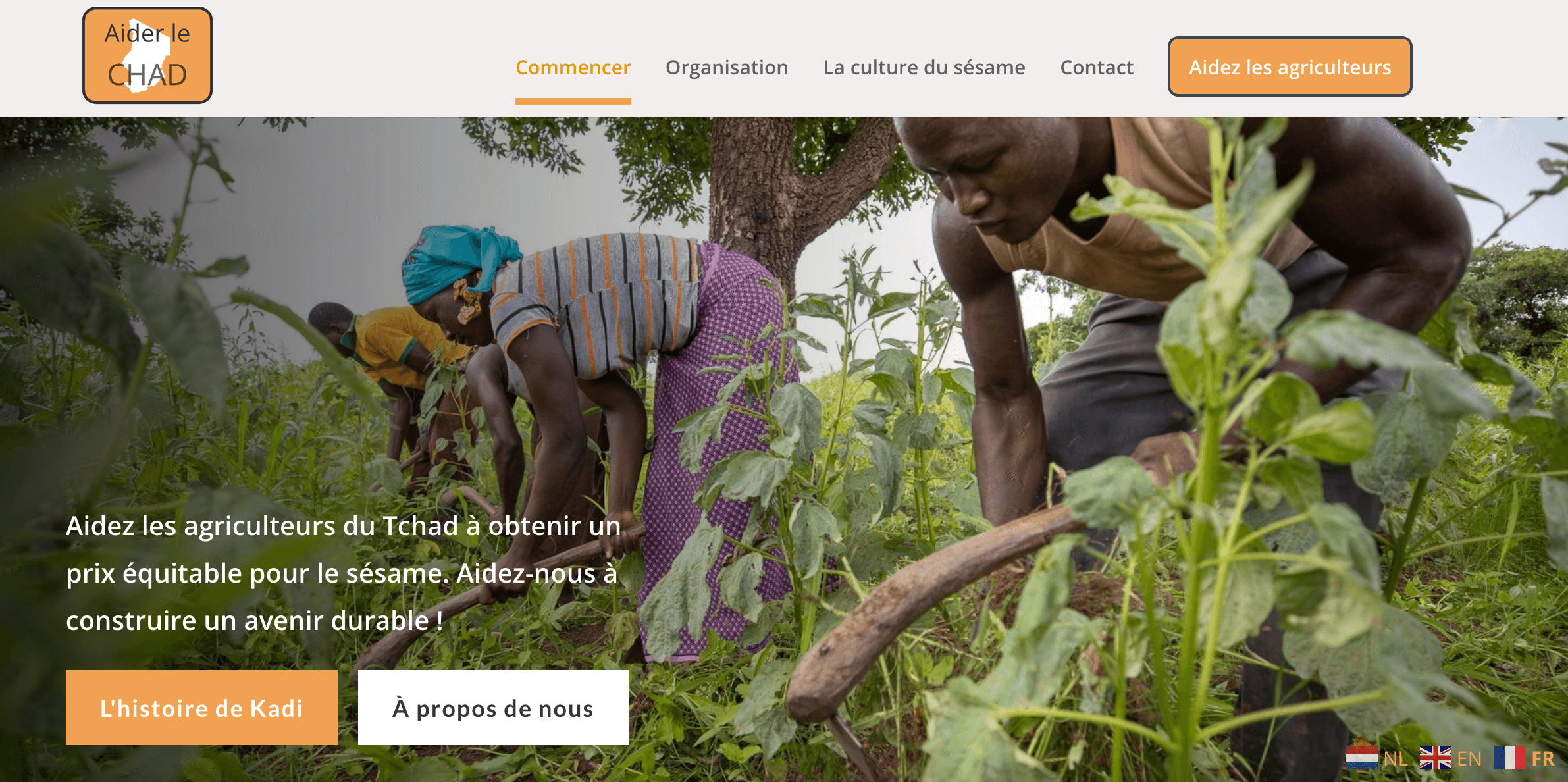 Hulp aan Tsjaad - Auke Feenstra Webdesign
